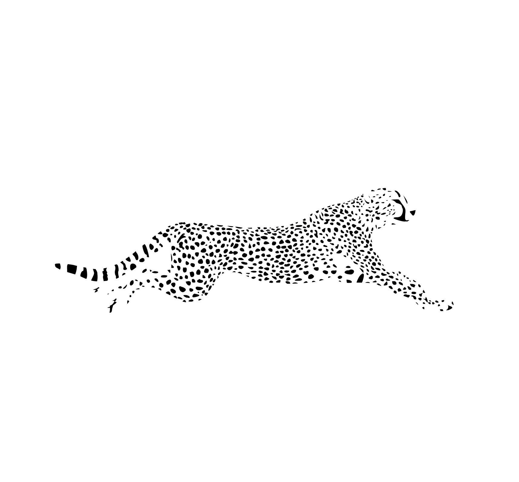 Leopard Cargo UK Ltd